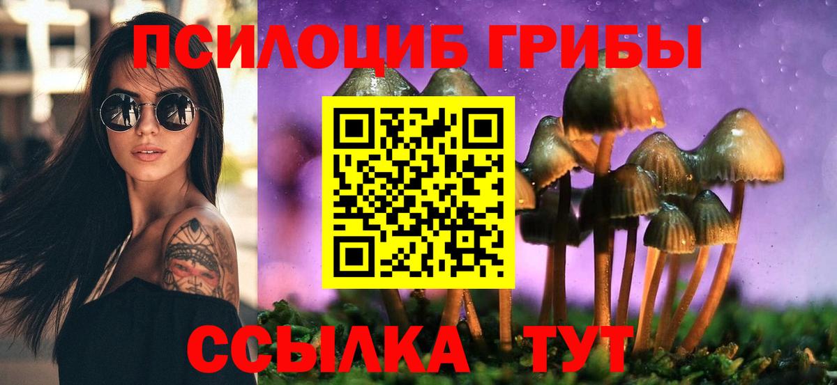 Псилоцибиновые грибы GOLDEN TEACHER  купить наркотик  Комсомольск-на-Амуре  Вход с VPN 